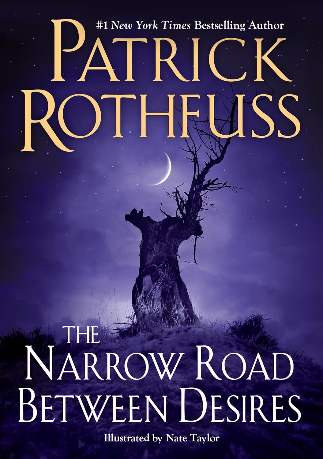 Patrick Rothfuss: The Narrow Road Between Desires (DAW)